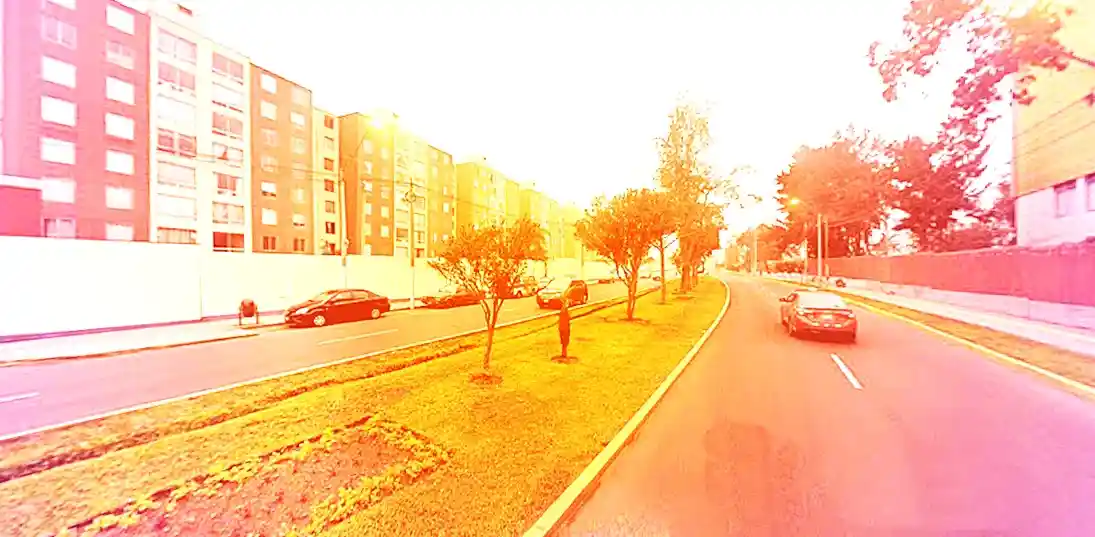 Mudanzas San Luis Mayo 2026